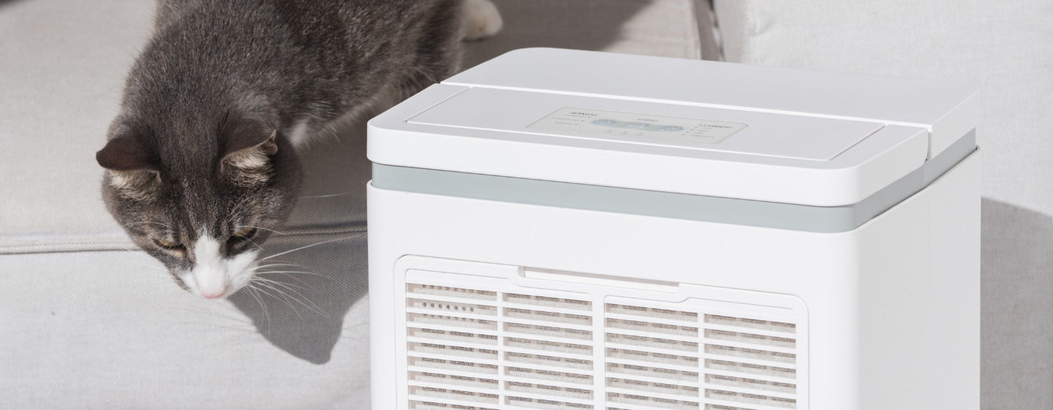 Cat next to an air purifier