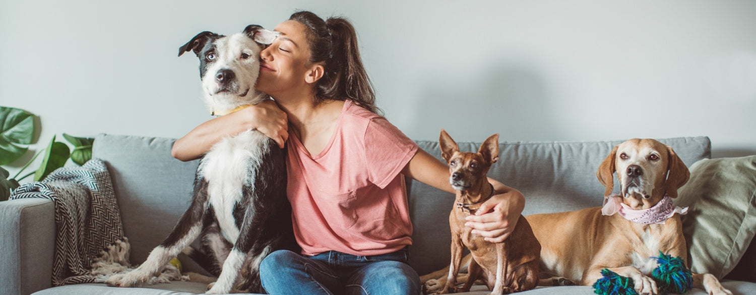 Woman sitting on couch with three dogs and hugging one