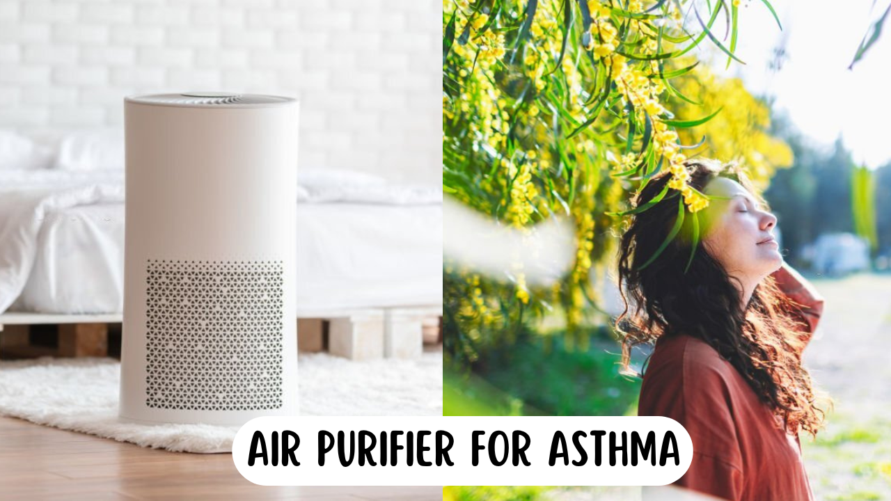 Air Purifier for asthma with a woman outside on one half and a white air purifier on the other