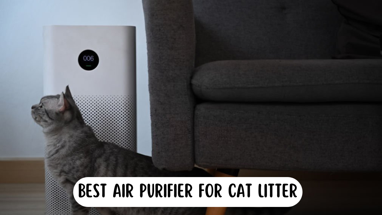 Air Purifier For Cat Litter - With cat standing in front of a white air purifier