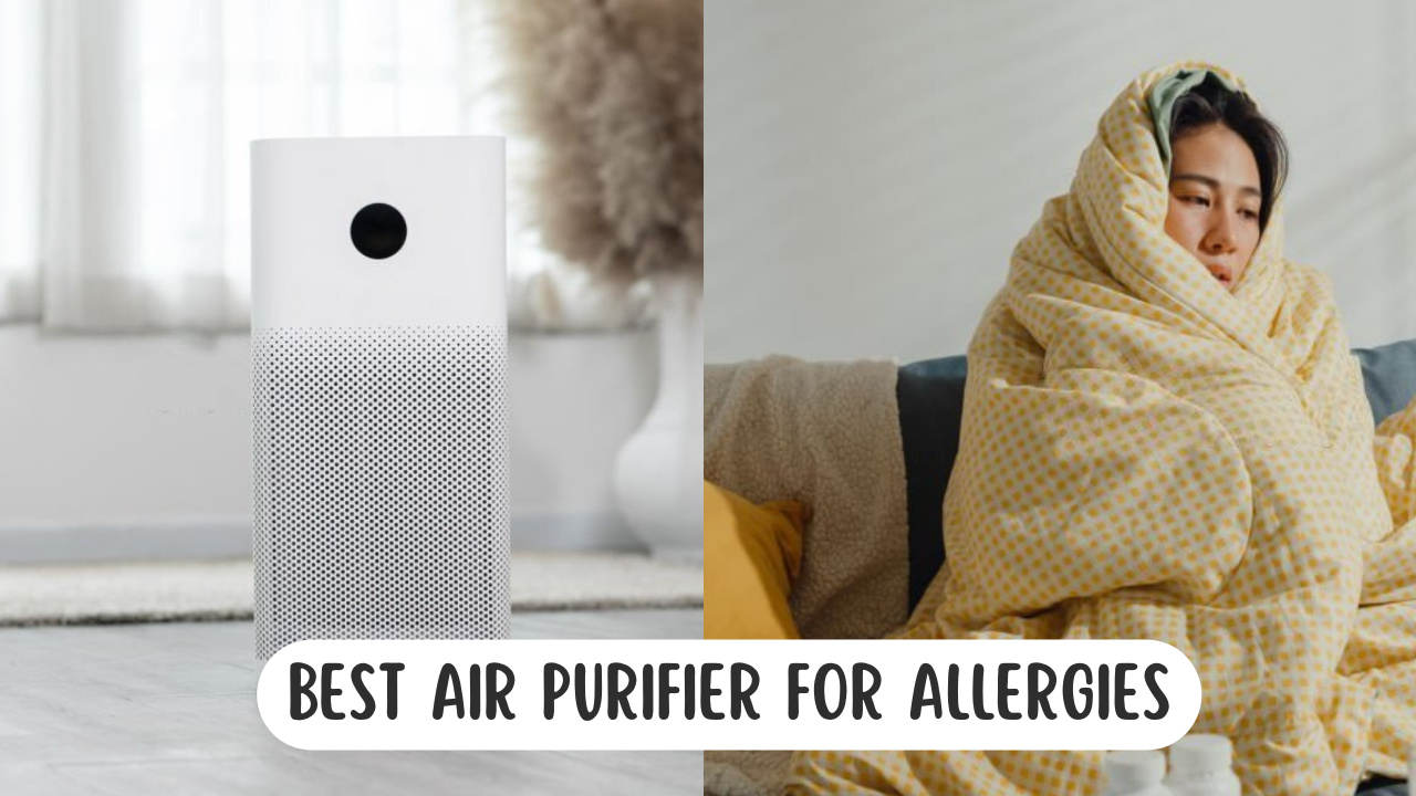 Do Air Purifiers Help With Sickness?