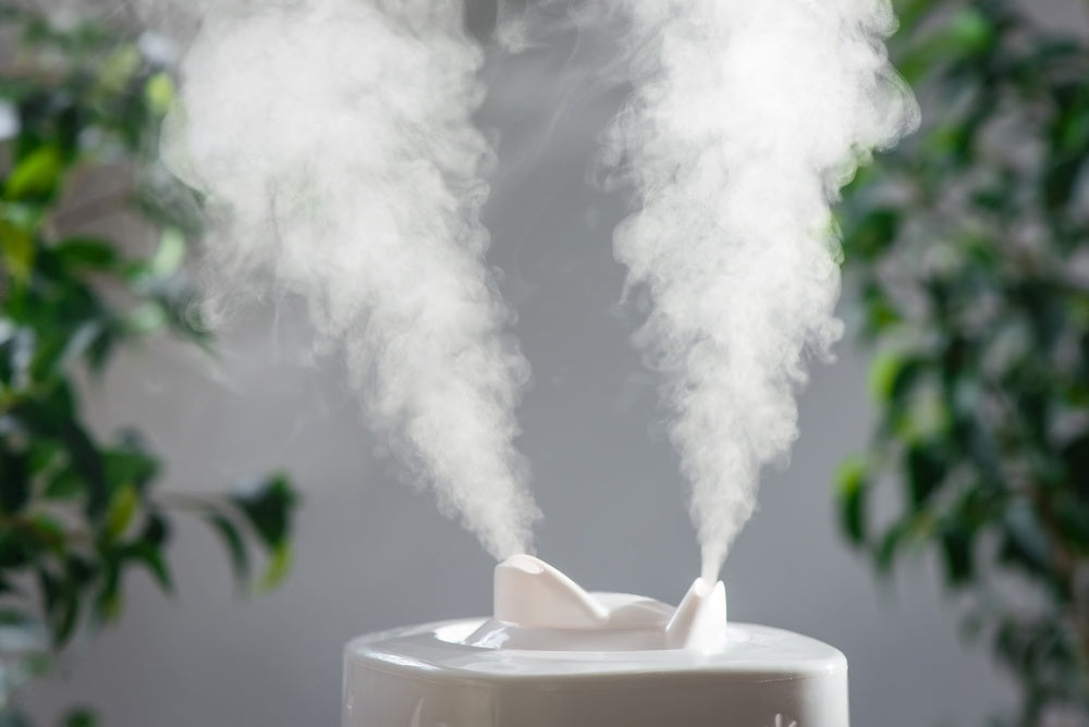 Humidifier emitting mist in a room with green plants in the background, questioning "Do UV air purifiers work?