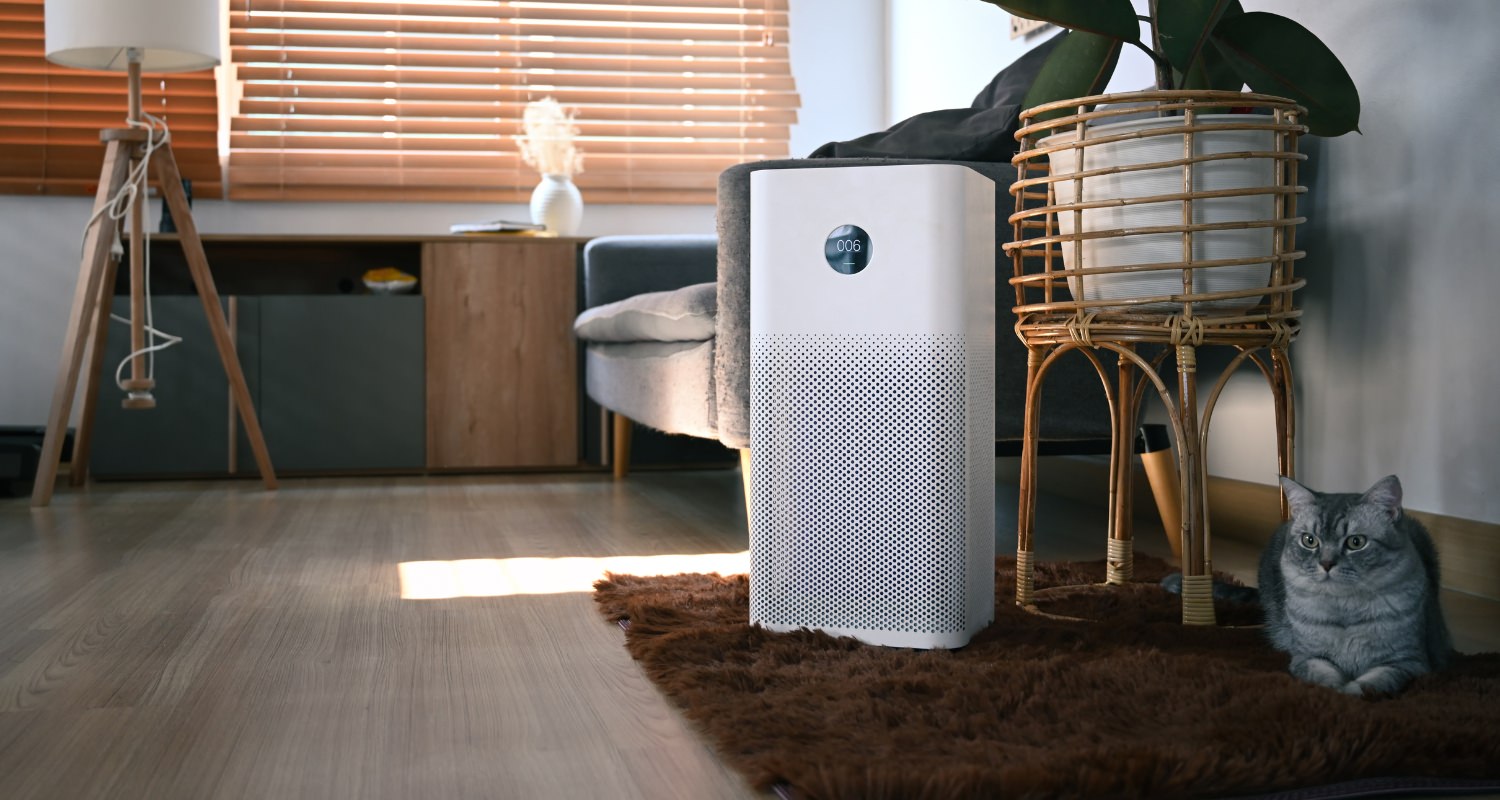 White air purifier in a living room with a grey cat on a dark red rug