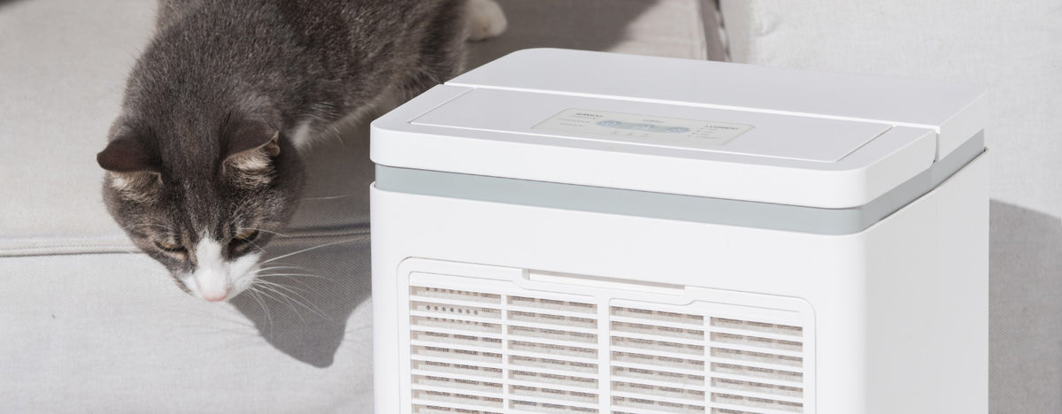 Air purifier for pet urine odor shop