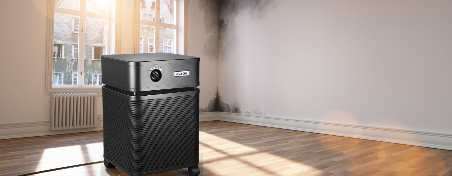 Air purifier running in a room with mold spores