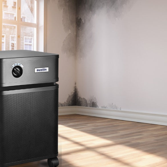 Air purifier running in a room with mold spores