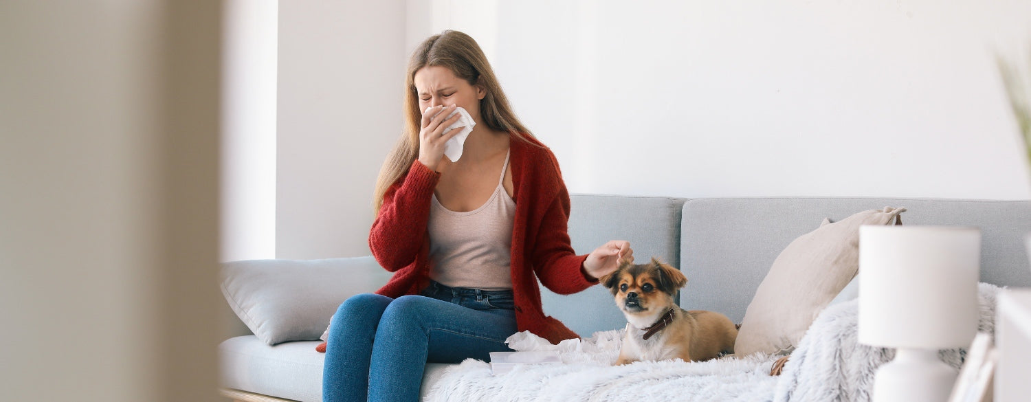 Woman sneezing while sitting next to her dog on the couch