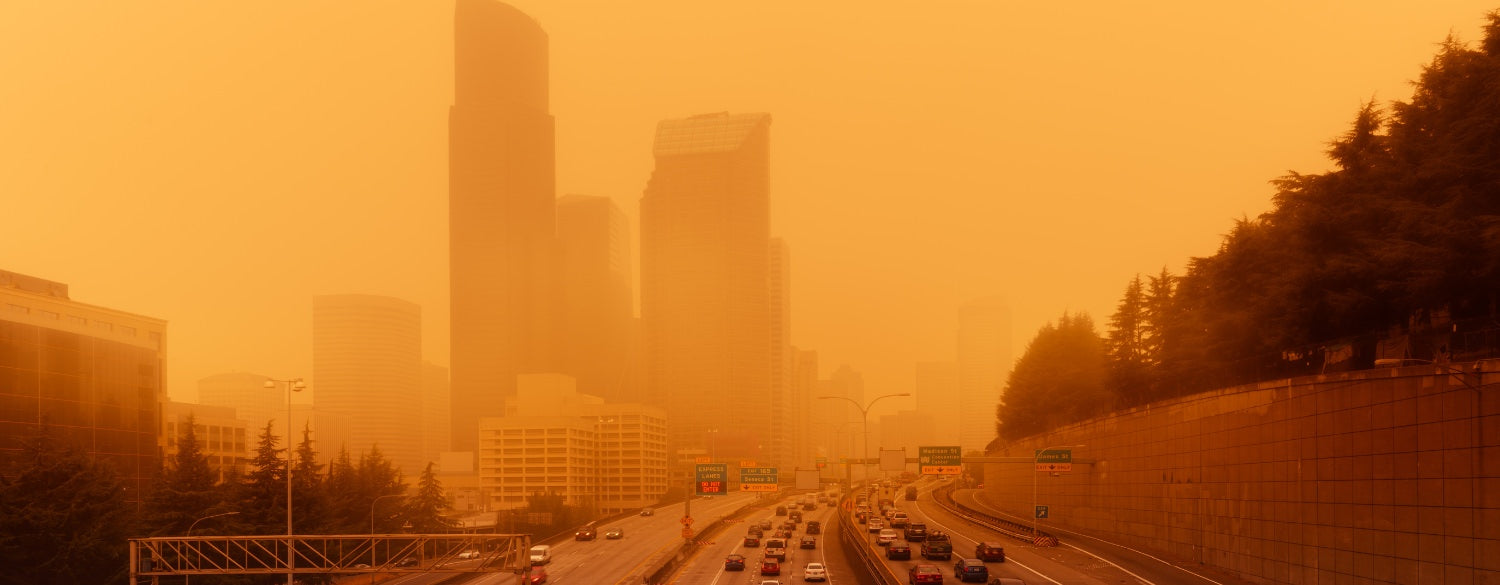 Wildfire smoke in a large city