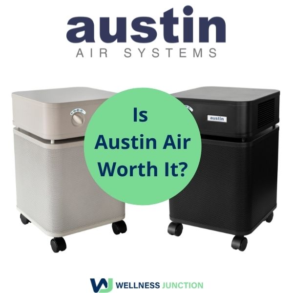 Is Austin Air Worth It?