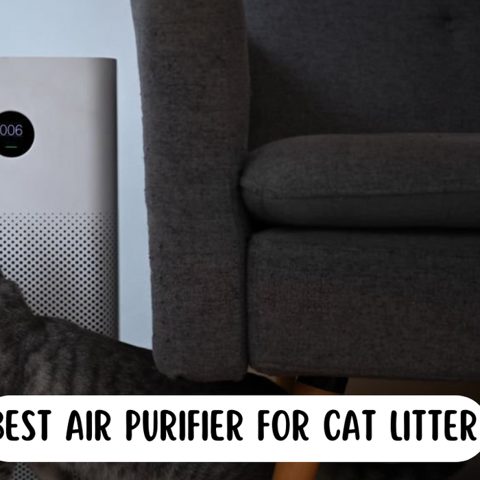 Air Purifier For Cat Litter - With cat standing in front of a white air purifier