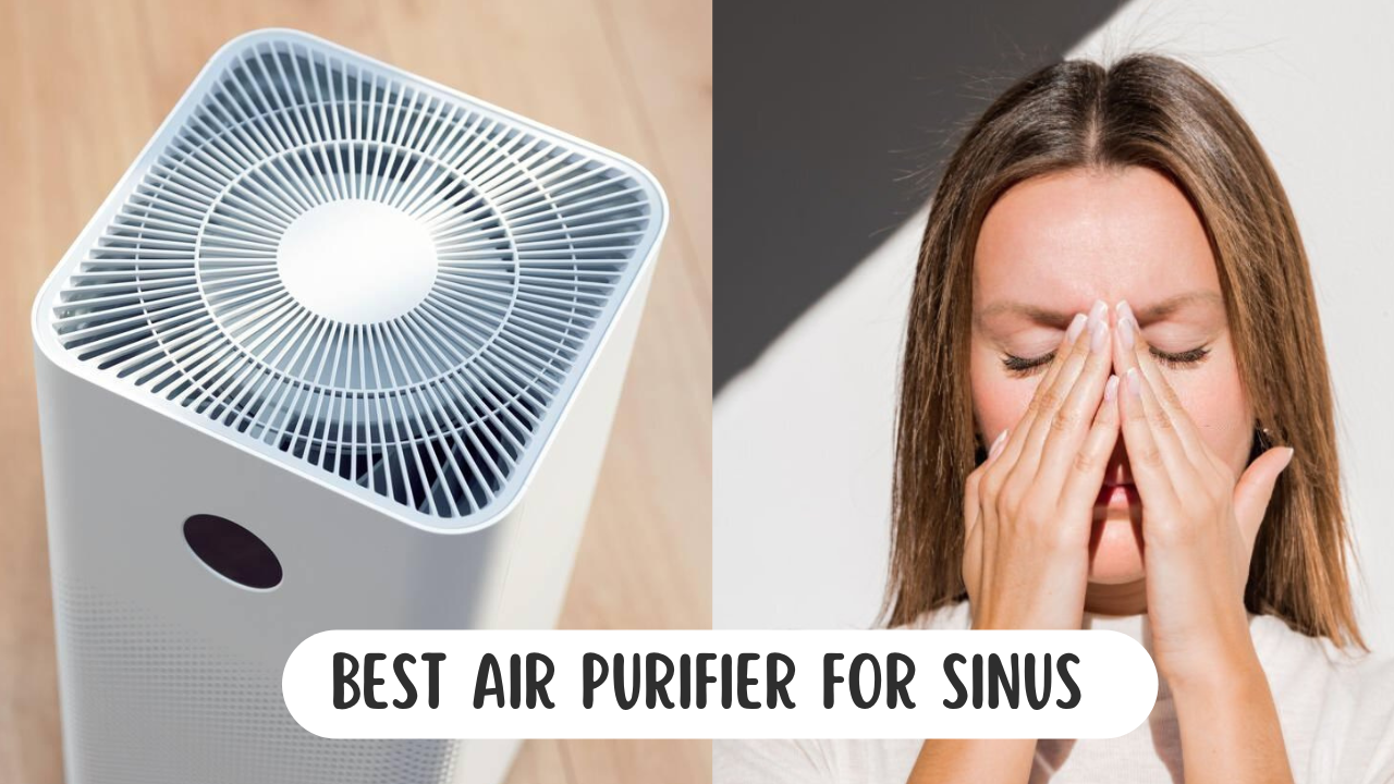 Best Air Purifier For Sinus