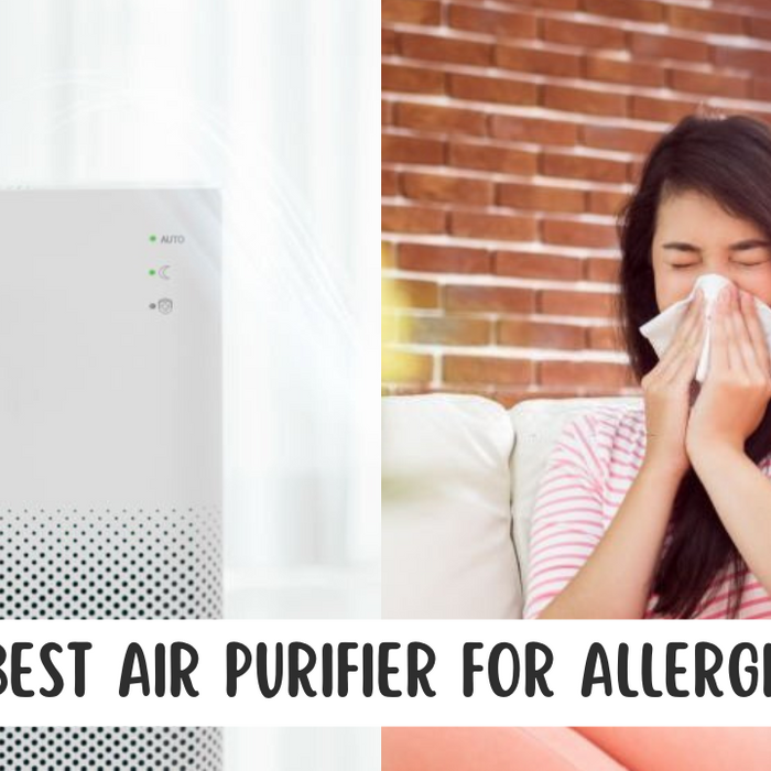 Best Air Purifier For Allegories displayed with woman sneezing in a tissue