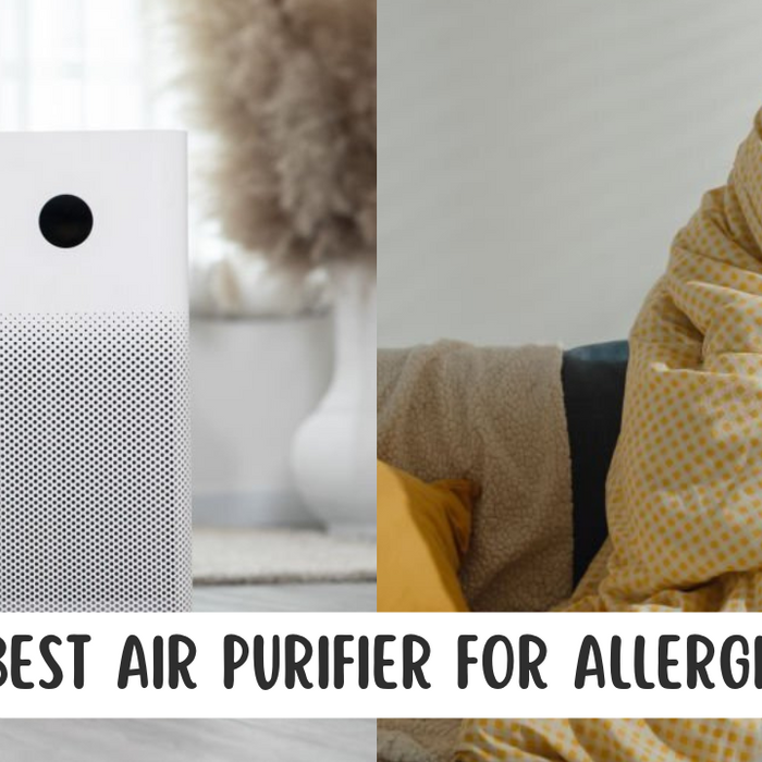 Do Air Purifiers Help With Sickness?