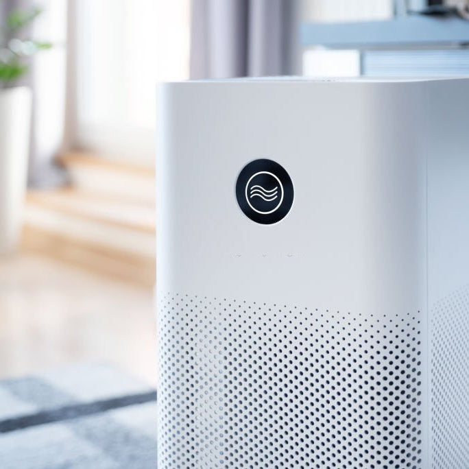 Modern white air purifier with a simple design and perforated lower half, possibly utilizing a charcoal filter, set in a bright room with plants