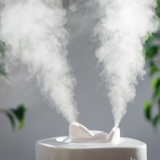 Humidifier emitting mist in a room with green plants in the background, questioning "Do UV air purifiers work?
