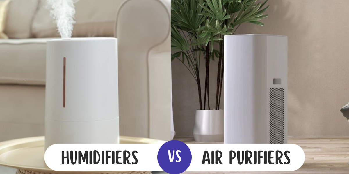 What is Better for Allergies Humidifier Or Air Purifier