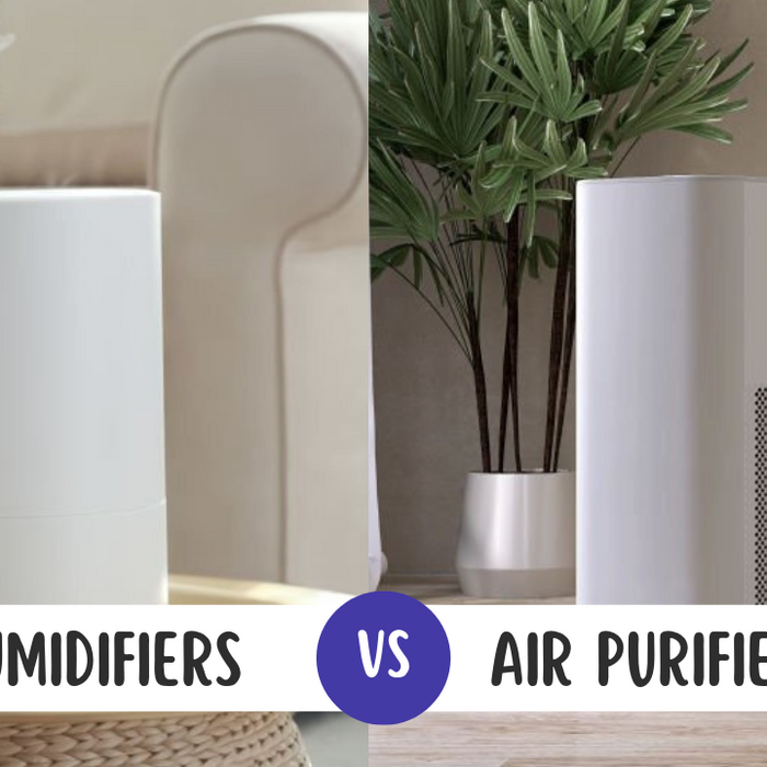 Countering Allergies (Humidifiers vs. Air Purifiers)