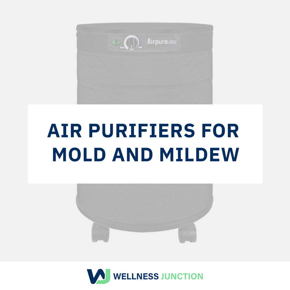 Air Purifiers for Mold and Mildew
