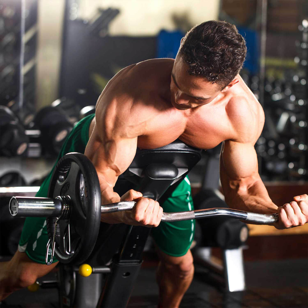 4FT Olympic EZ Curl Barbell Home Gym Major Fitness