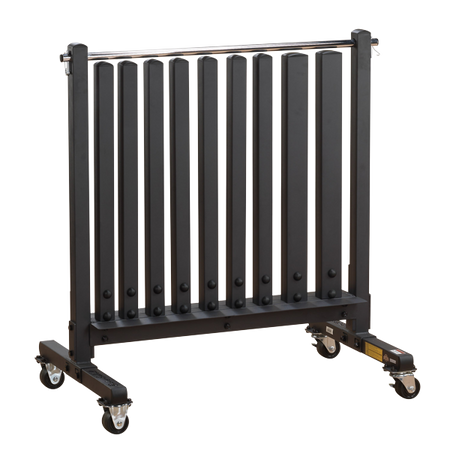 Body Solid GDR500 Commercial Dumbbell Rack