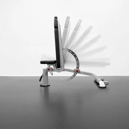 CF2106 BodyKore 8-Position Back Pad