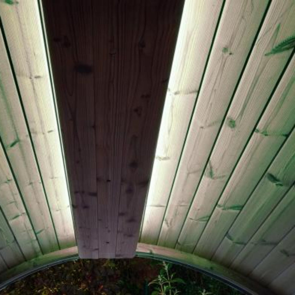 SaunaLife EMOOD White