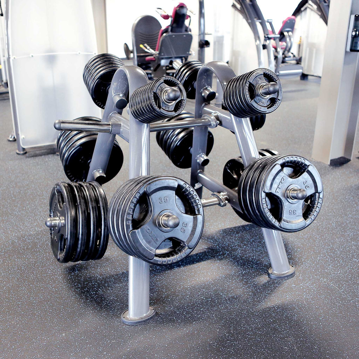 SportsArt A902 Olympic Weight Tree
