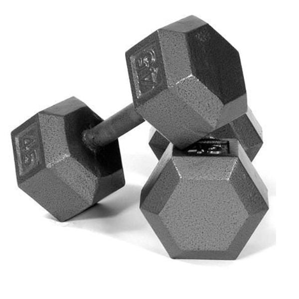 Troy USA Sports 45LB Gray Cast Iron Dumbbells