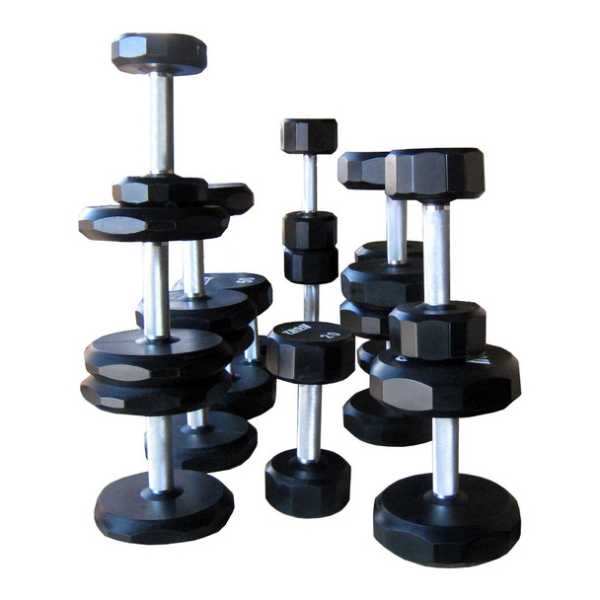 Urethane Dumbbell 12 Sided Troy Barbell