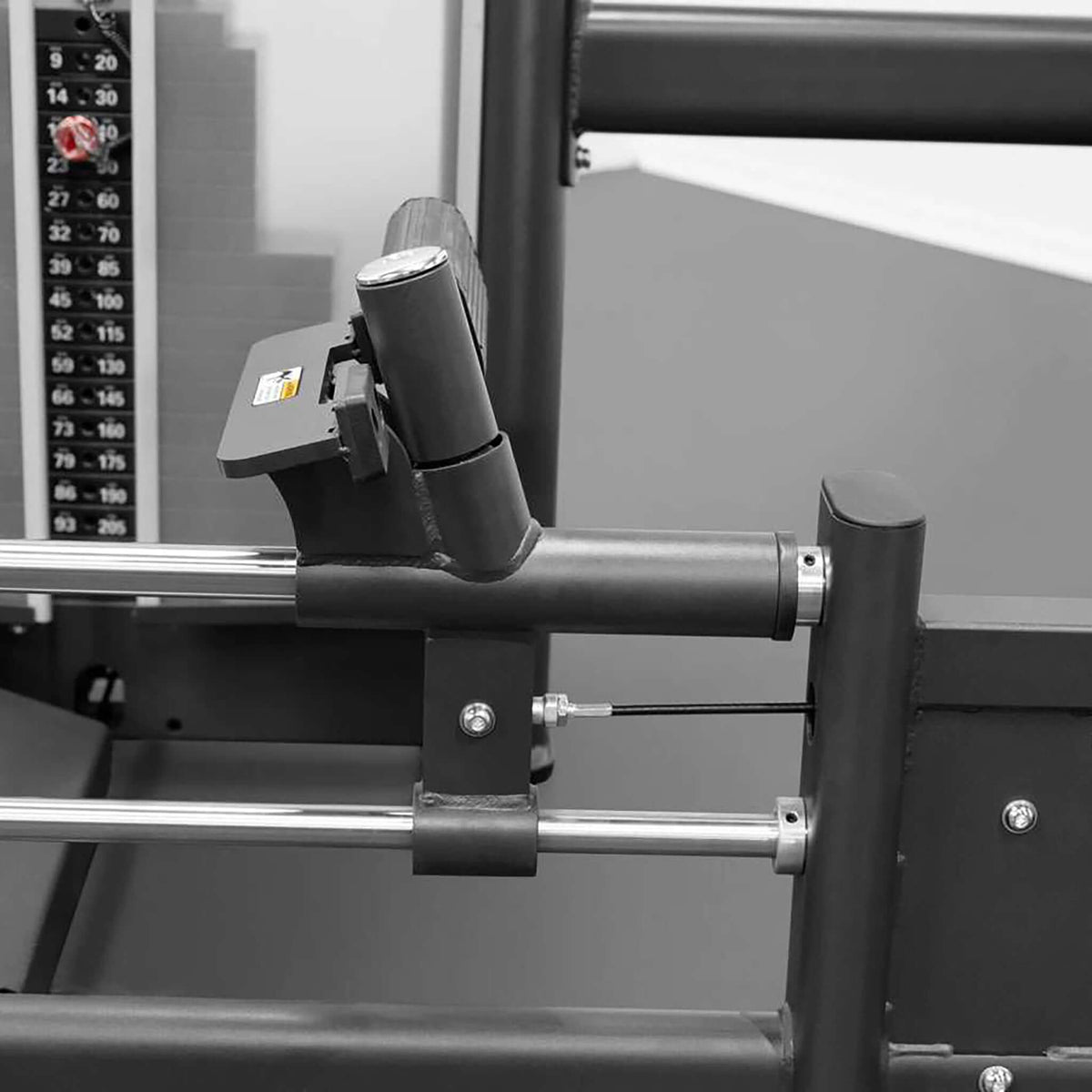 bodykore selectorized rear kick stainless steel guide rods