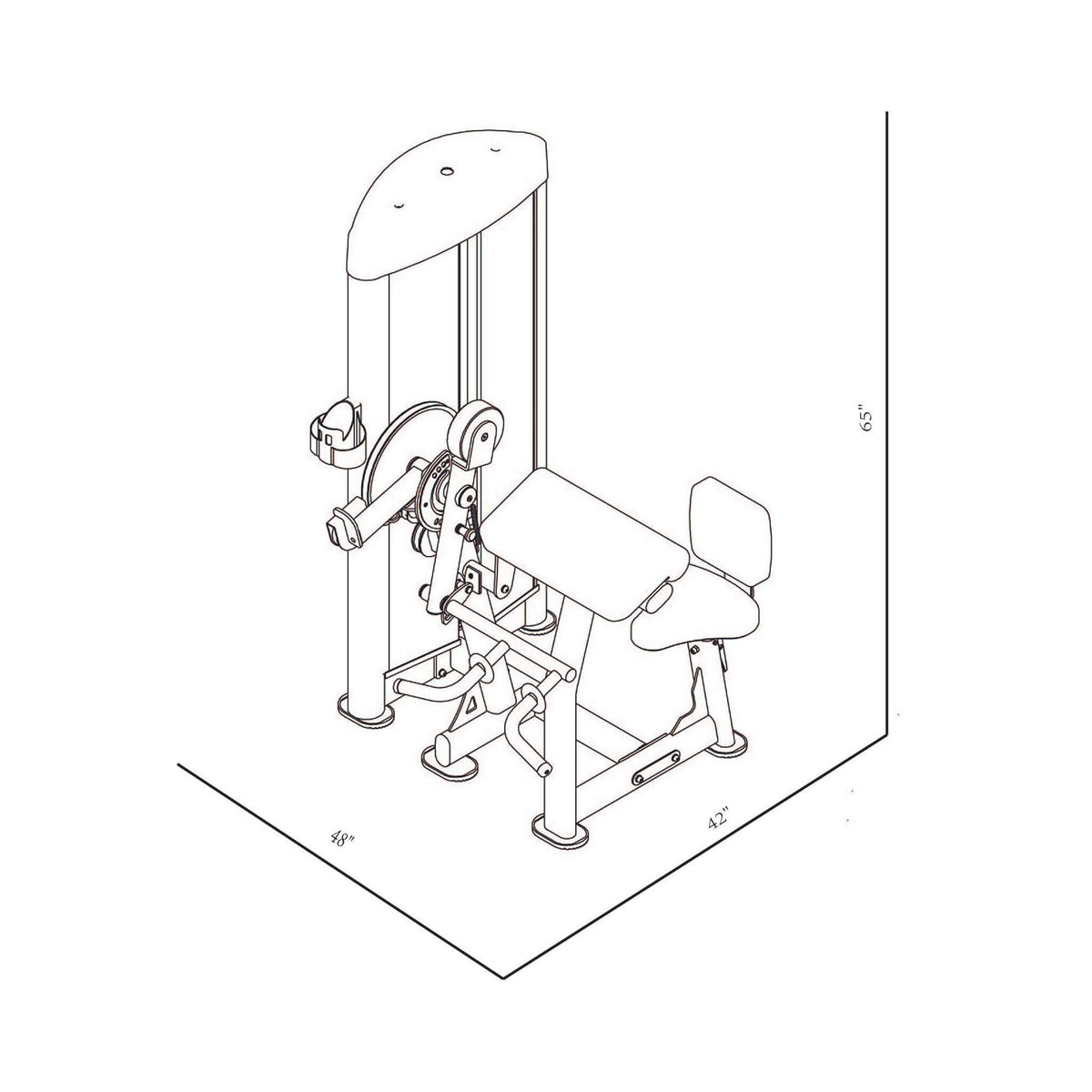 gr634 bicep tricep dimension