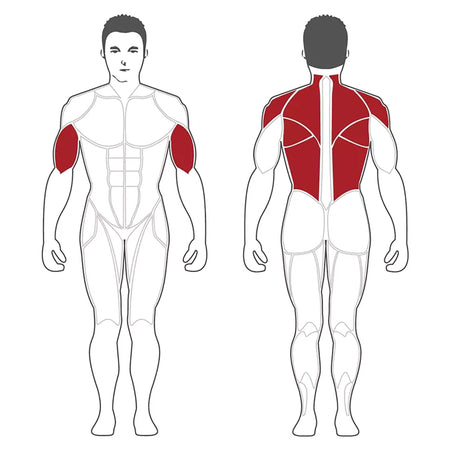 steelflex pl2200 target muscles