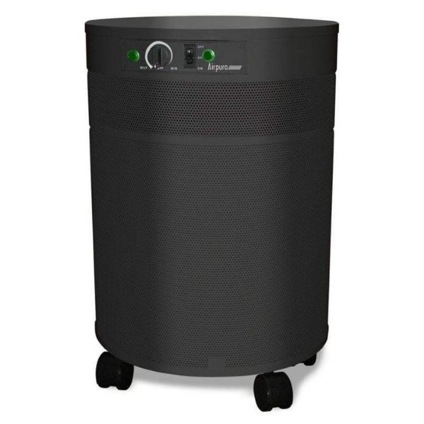 Airpura P600 Air Purifier Germs, Mold, & Chemicals Reduction Black Front View